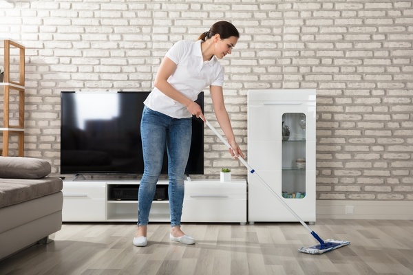 Standard Cleaning