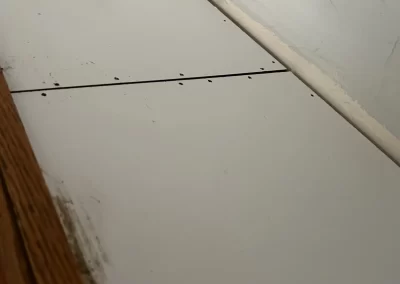 Quality Cleaning Service